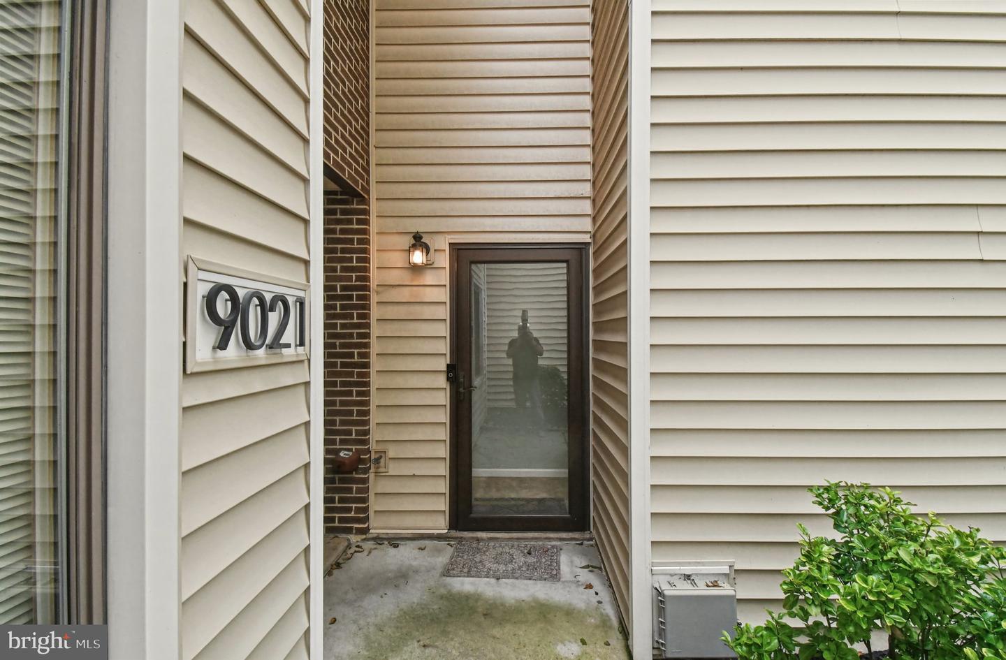 9021 "a" Ayrdale — photo
