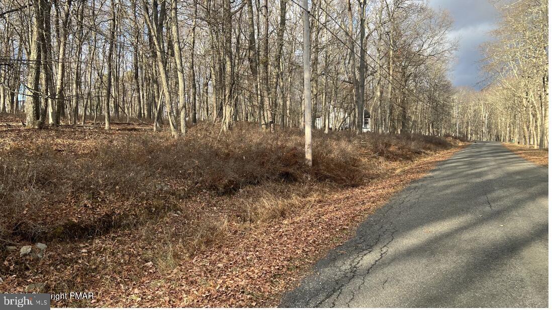 Lot 288 Doe Loop — photo