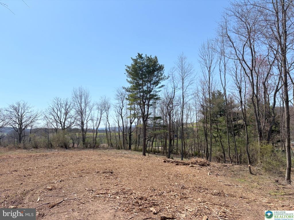 ricks rd, NEW RINGGOLD PA 17960 — photo 2