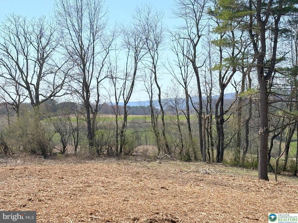 ricks rd, NEW RINGGOLD PA 17960 — photo 3