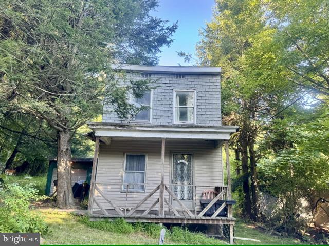 53 Theresa St — photo