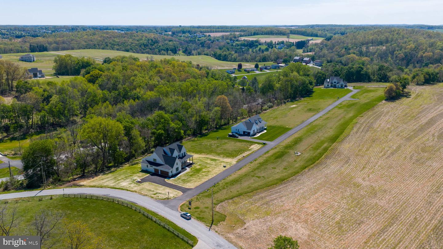 Lot 6 Portland Model Harambe Overlook — photo