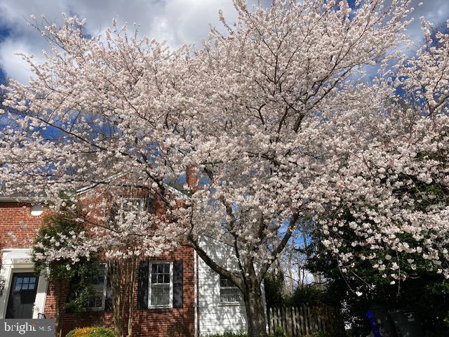 204 S Abingdon St — photo