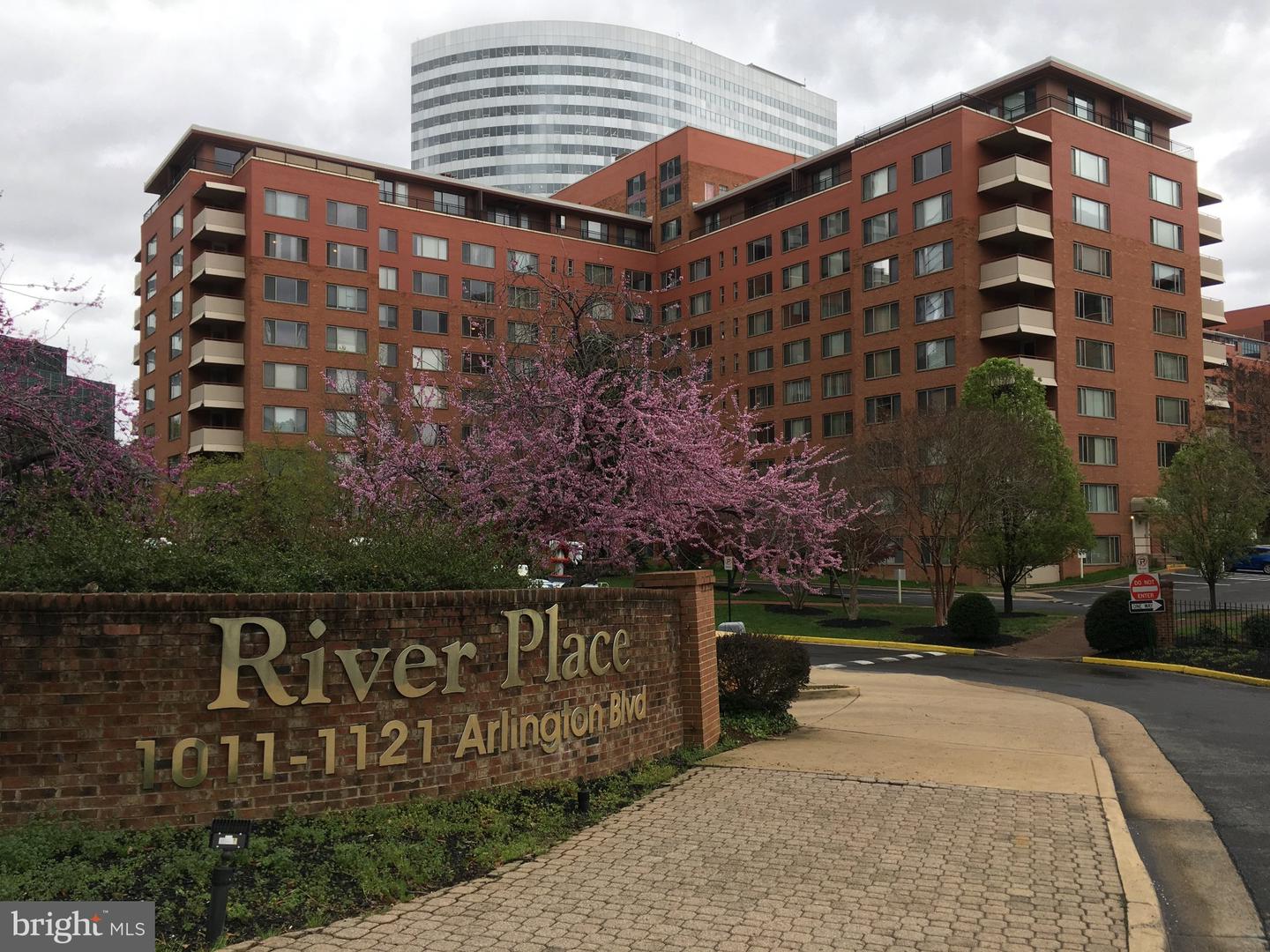 1121 Arlington Blvd #217 — photo