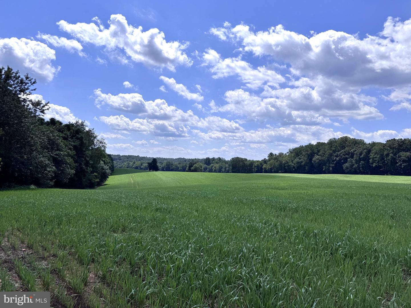 16560 Oak Shade Road, Rixeyville, VA 22737 — photo 2