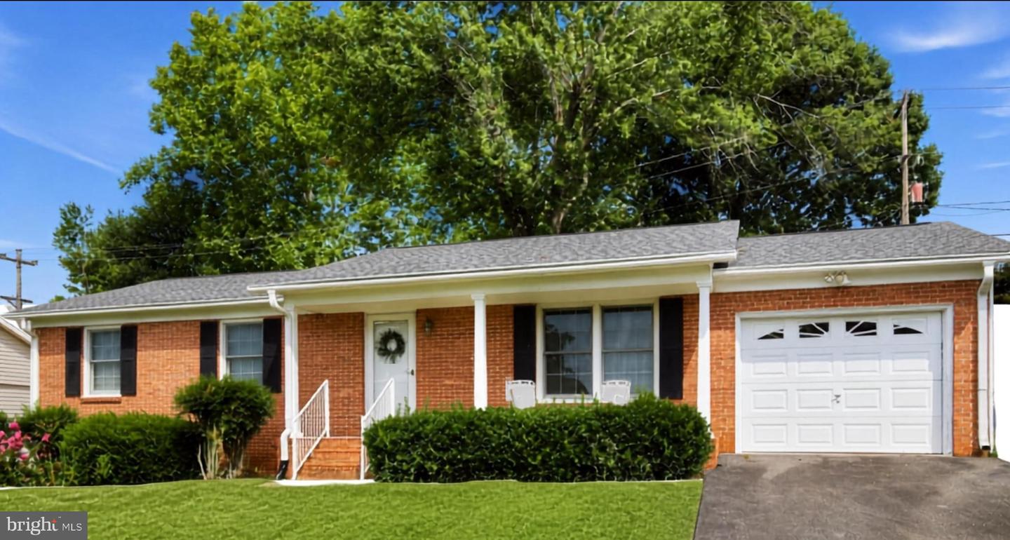 236 Chestnut Dr — photo