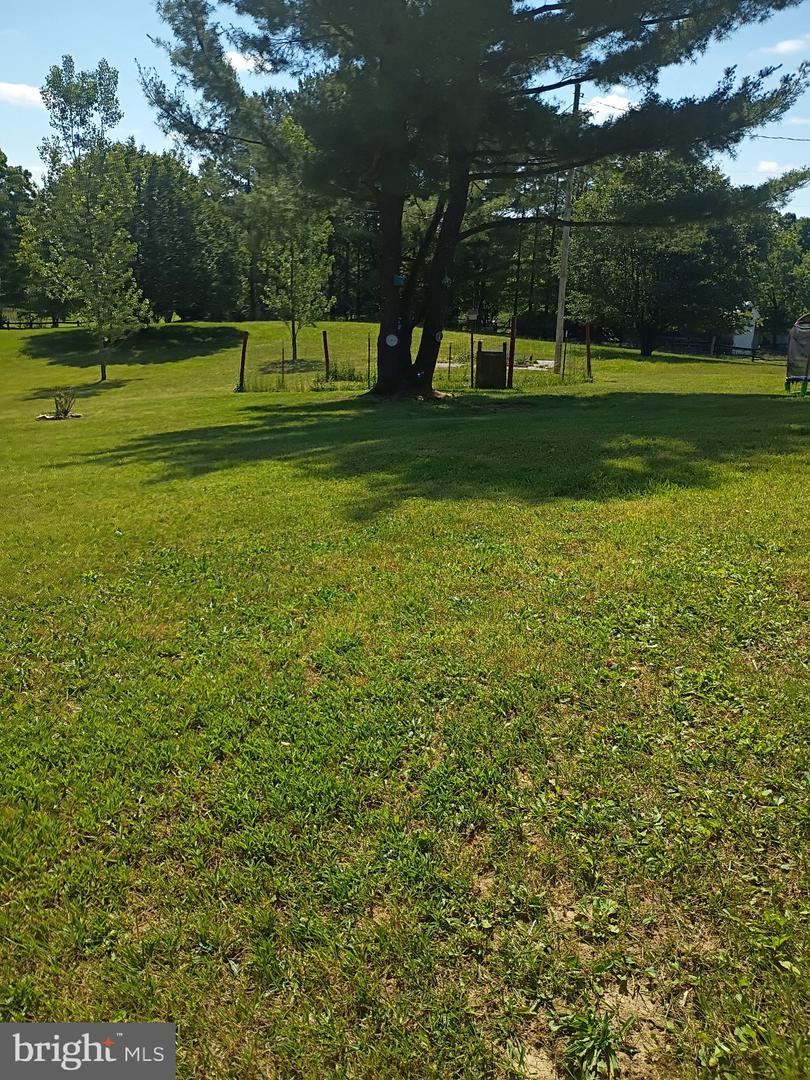 479 Perry Road, Winchester, VA 22602 — photo 3