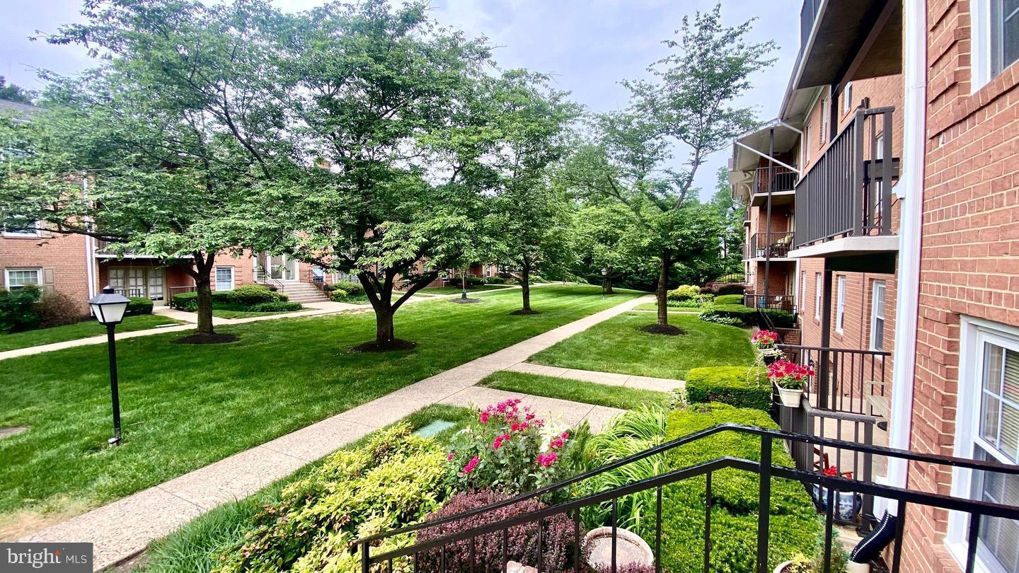 3330 Spring Ln #D-10 — photo