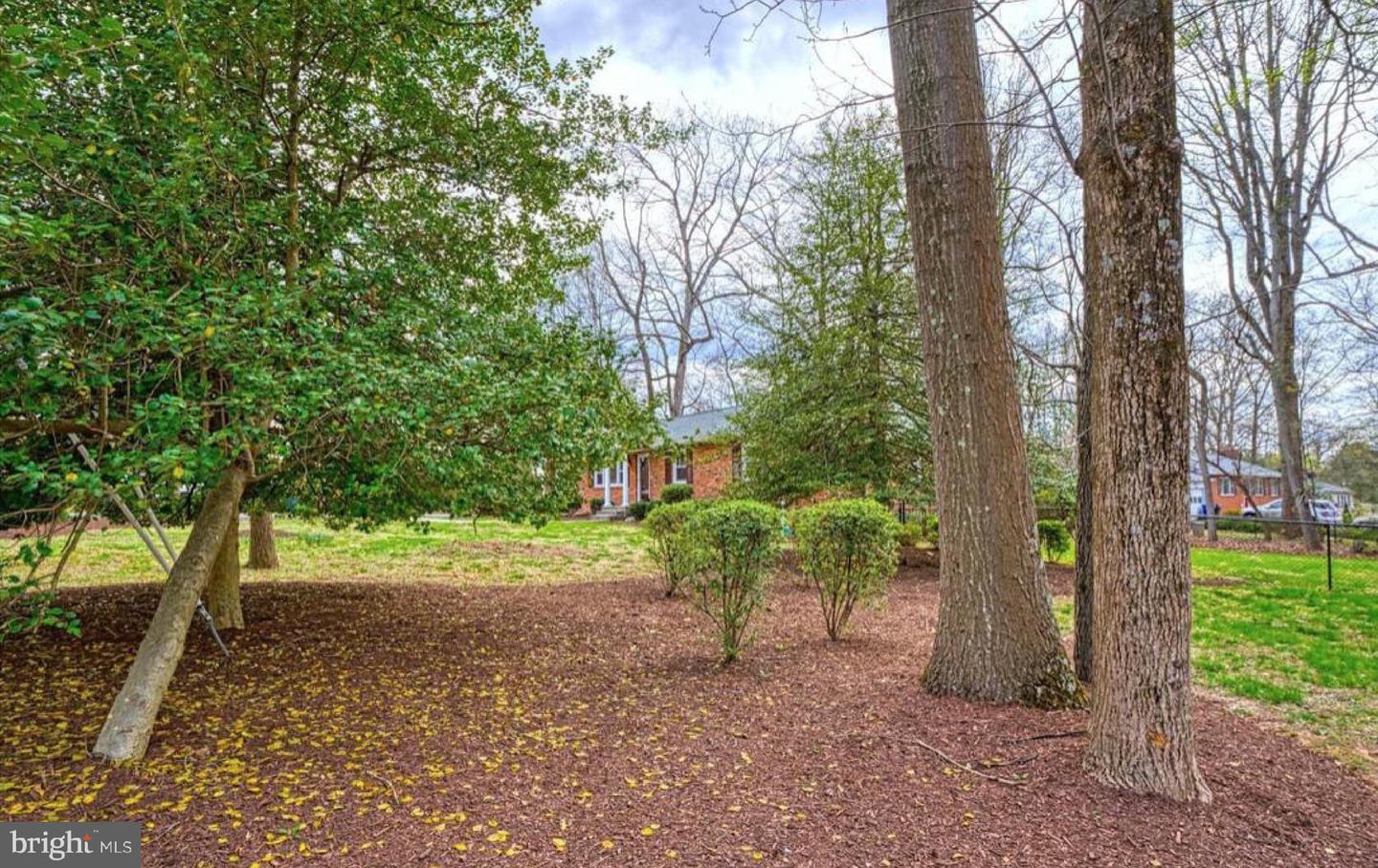 1100 Springvale Road, Great Falls, VA 22066 — photo 3