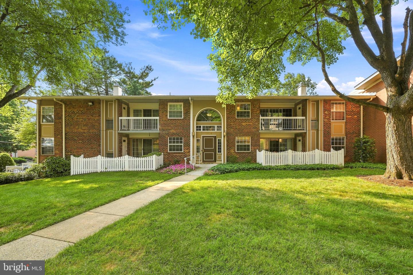 1914 Wilson #204 — photo