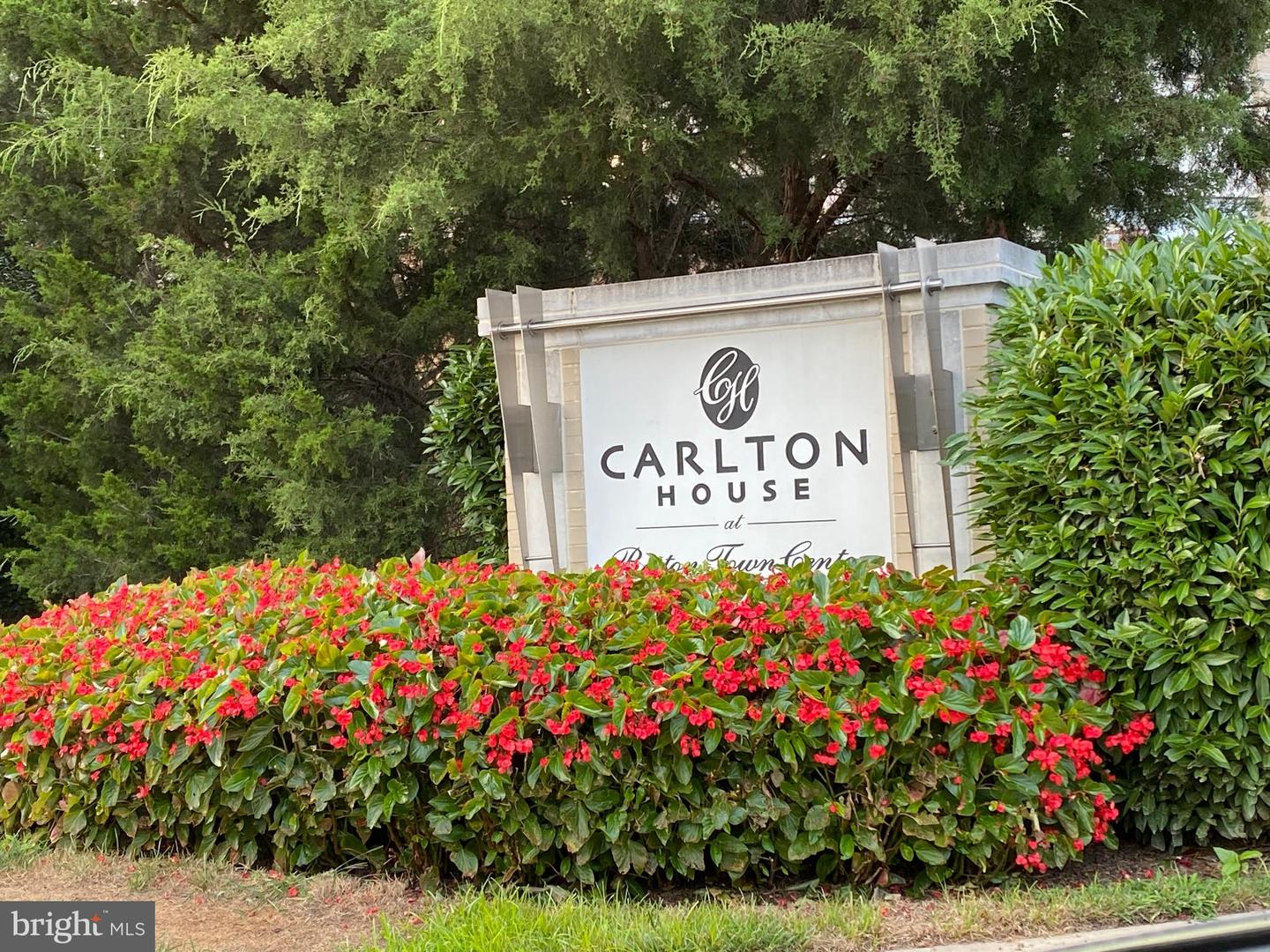11800 Sunset Hills Road #313, Reston, VA 20190 — photo 2