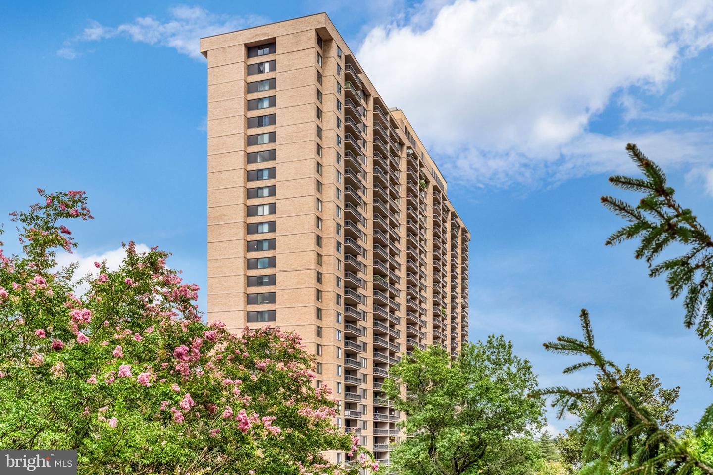 3701 S George Mason Dr #2605N — photo