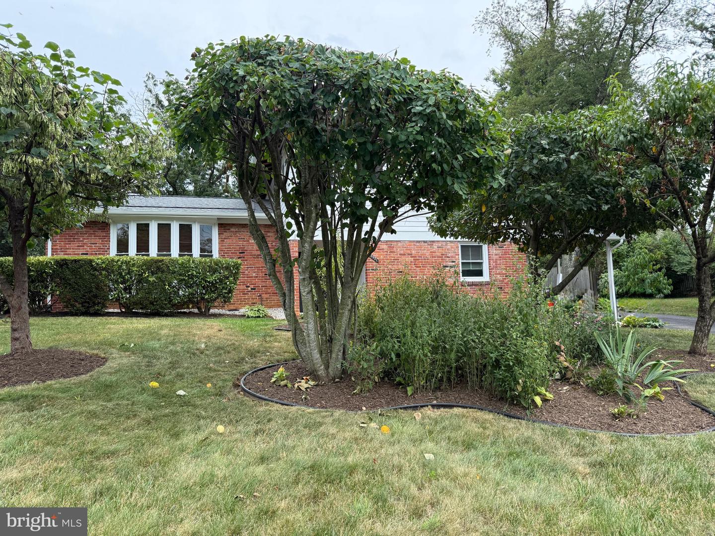 3921 Forest Grove Dr — photo
