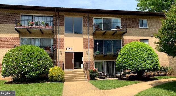 4108 Mangalore Dr #204 — photo