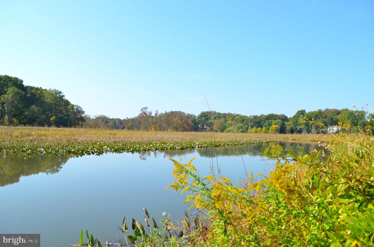 8267 Clifton Farm Ct — photo