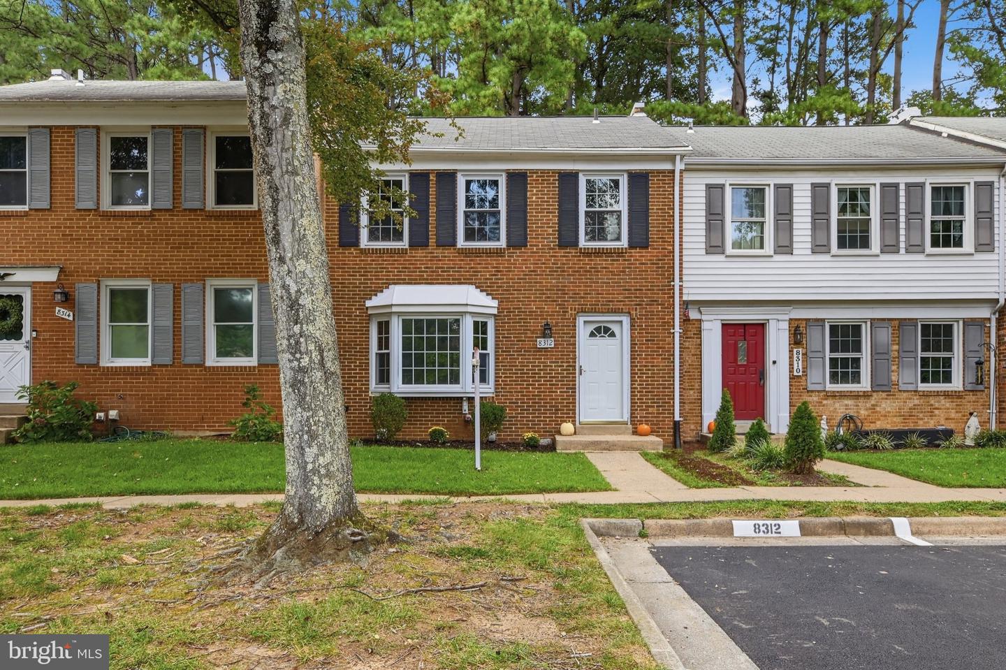 8312 Moline Place, Springfield, VA 22153 — photo 3