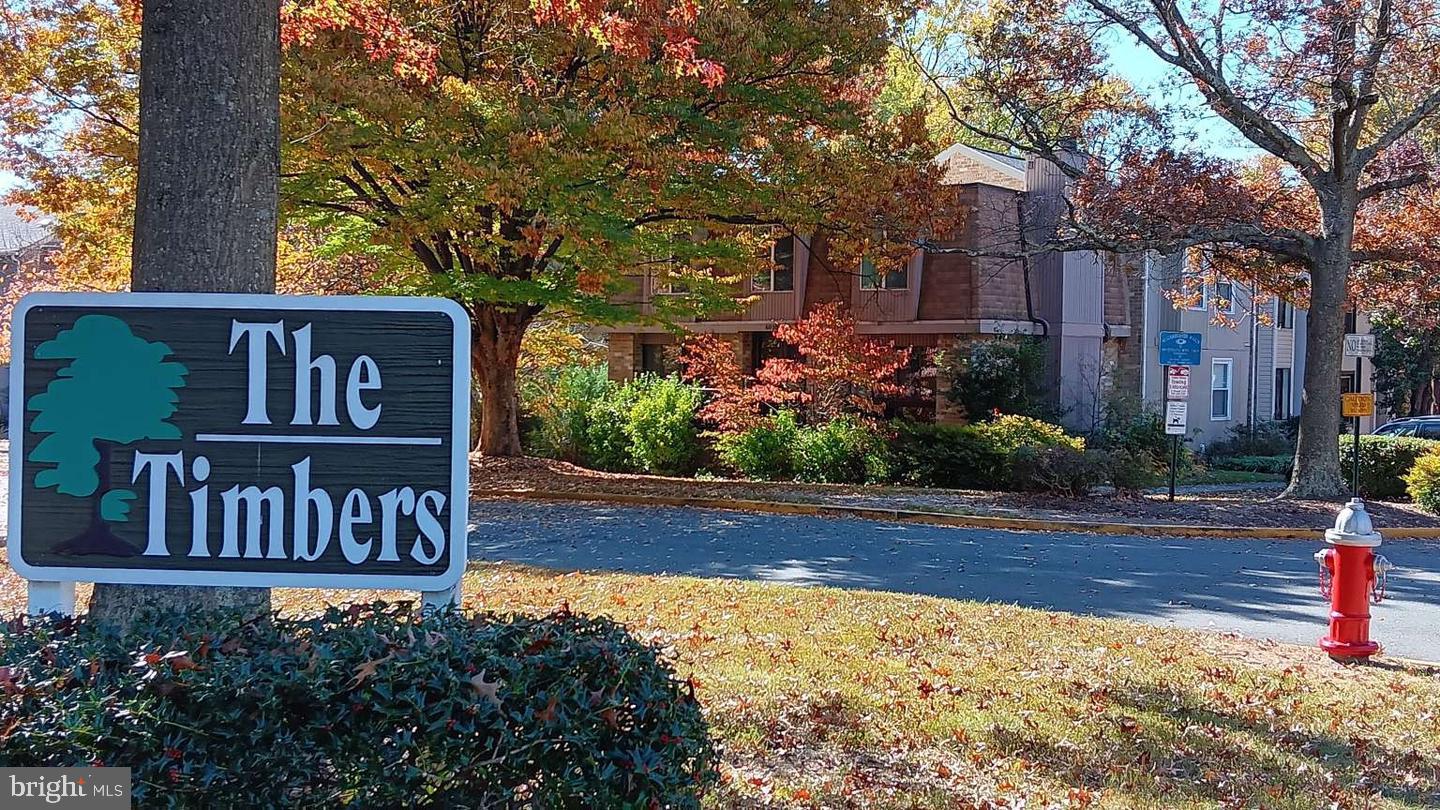 6010 Timber Hollow Ln — photo