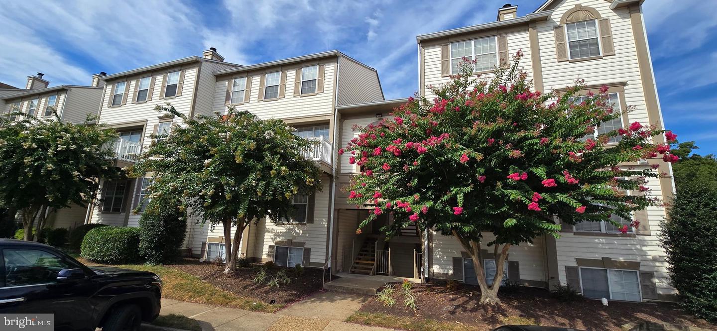 9262-C Cardinal Forest Ln #301 — photo