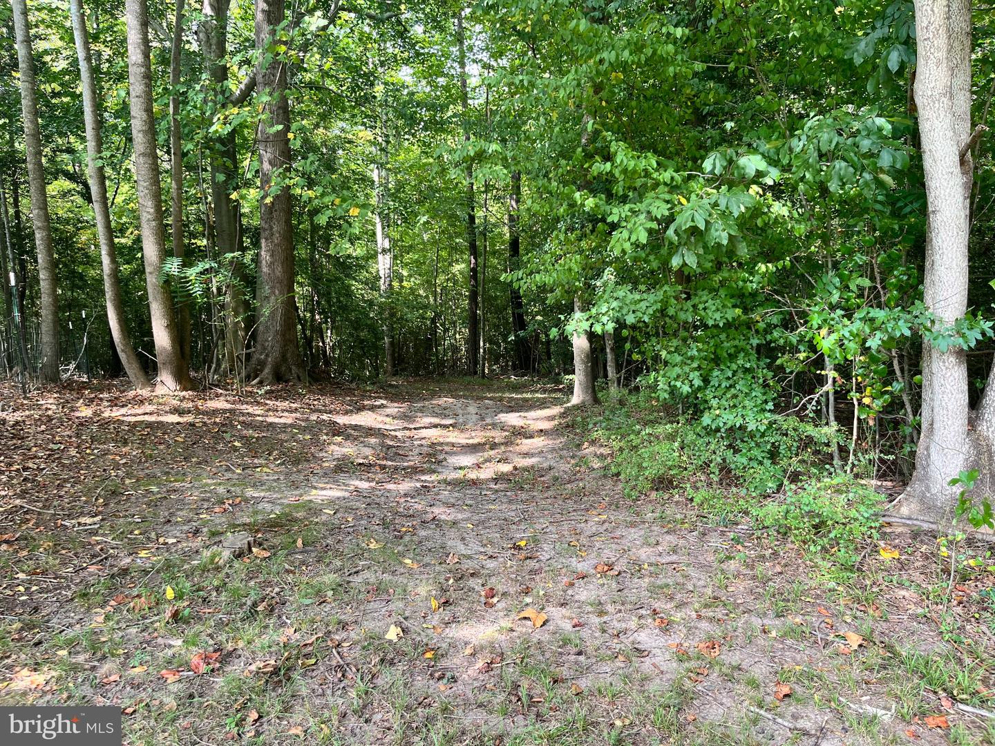 615 Reed Bridge Farm Road E, Bruington, VA 23023 — photo 3