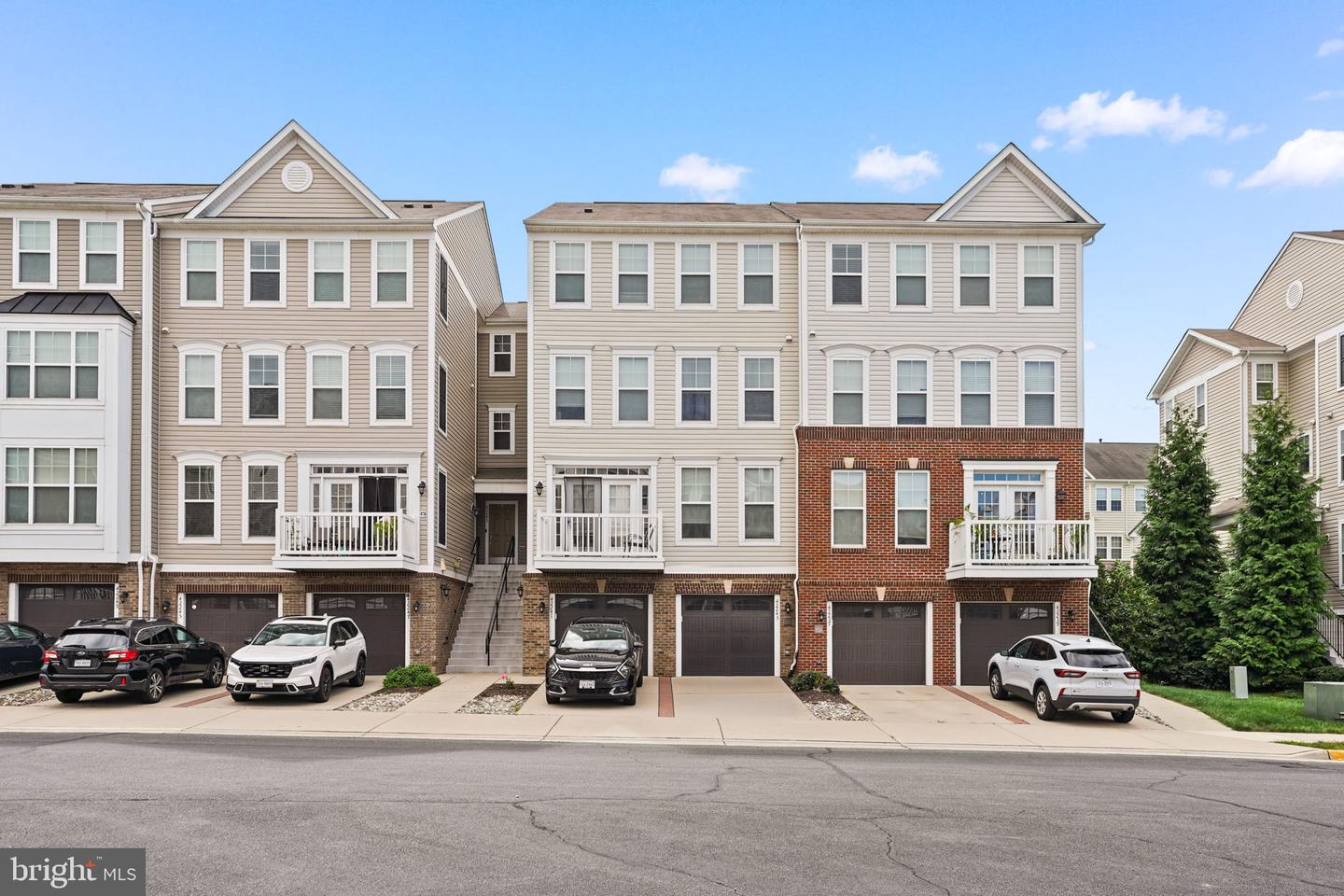 42243 Canary Grass Sq — photo