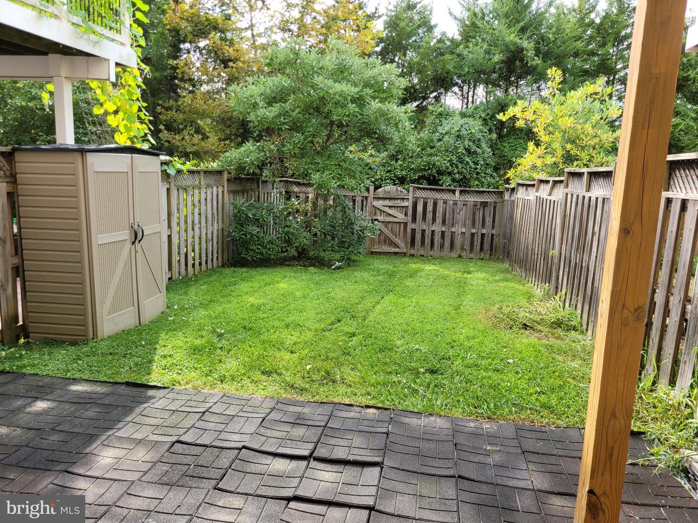 25117 Sweet Myrtle Sq — photo