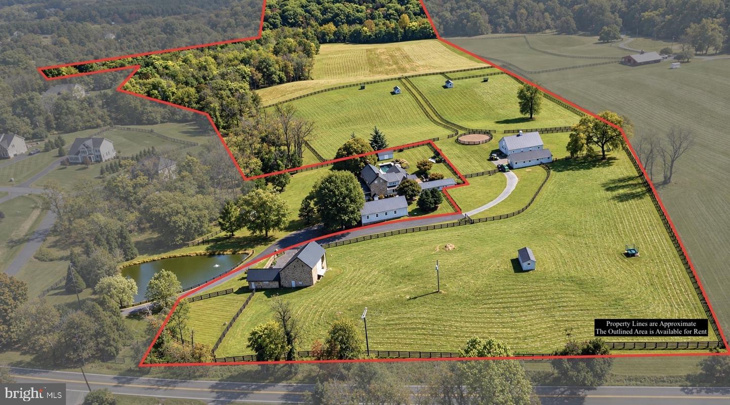 36437 Whispering Springs Ct — photo