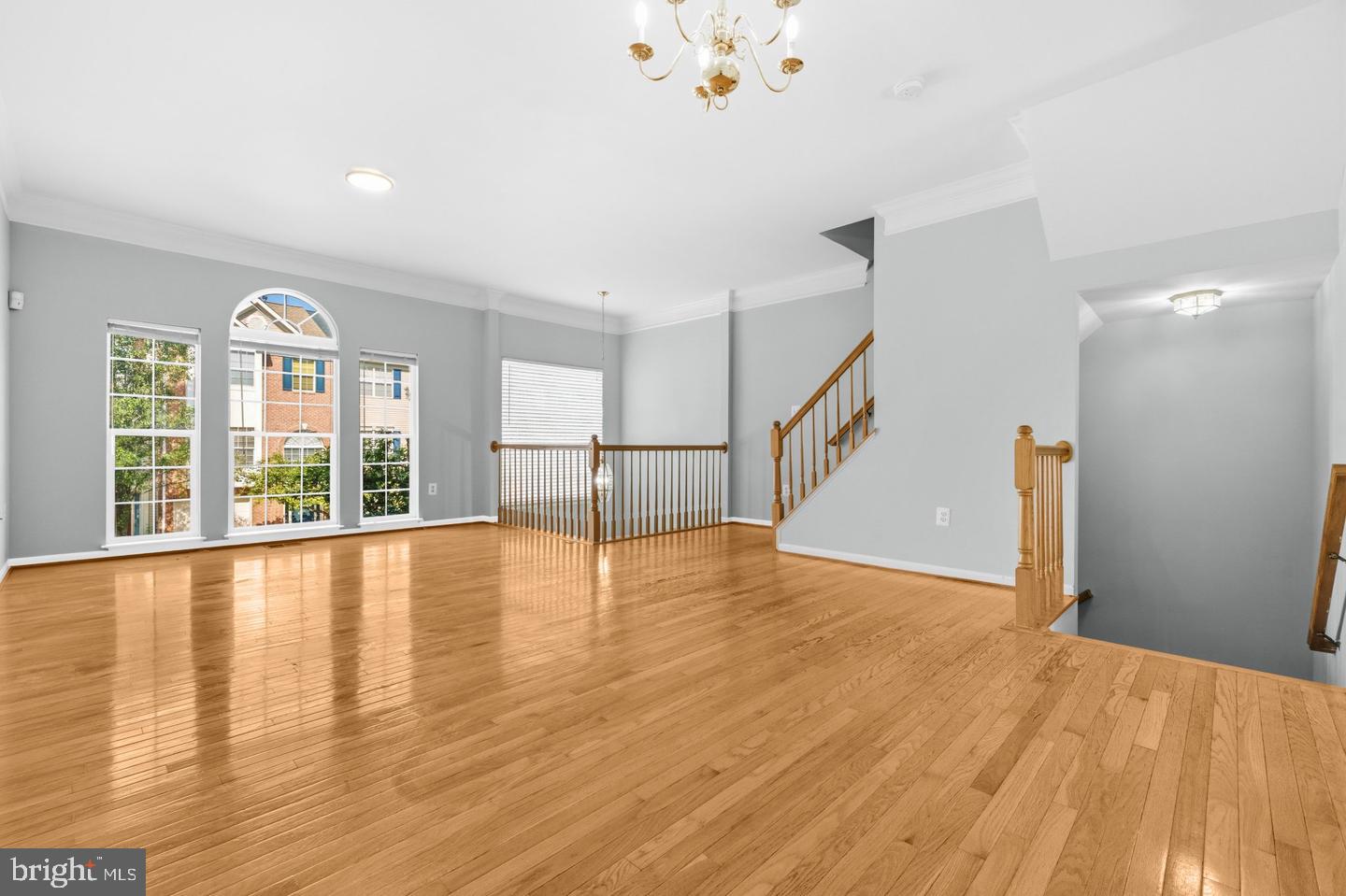 6687 Roderick, Gainesville, VA 20155 — photo 3