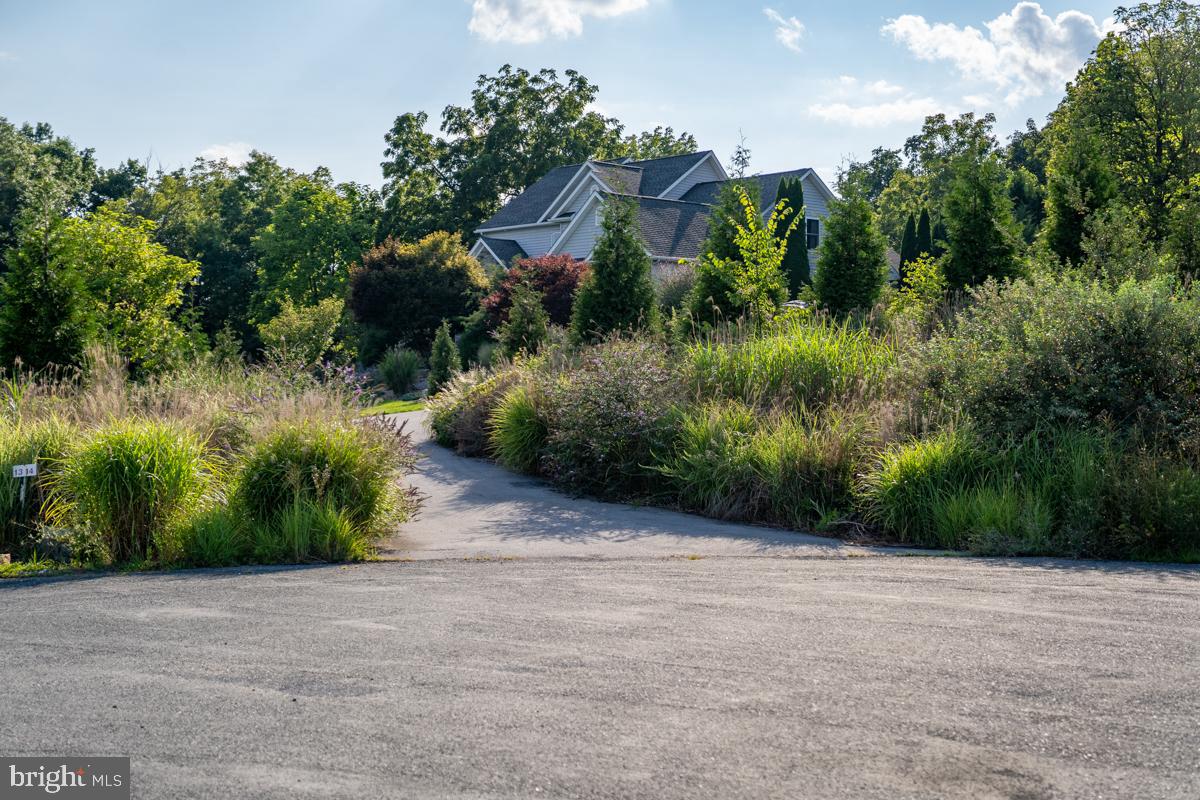 190 Ridgemore Drive, Raphine, VA 24472 — photo 3