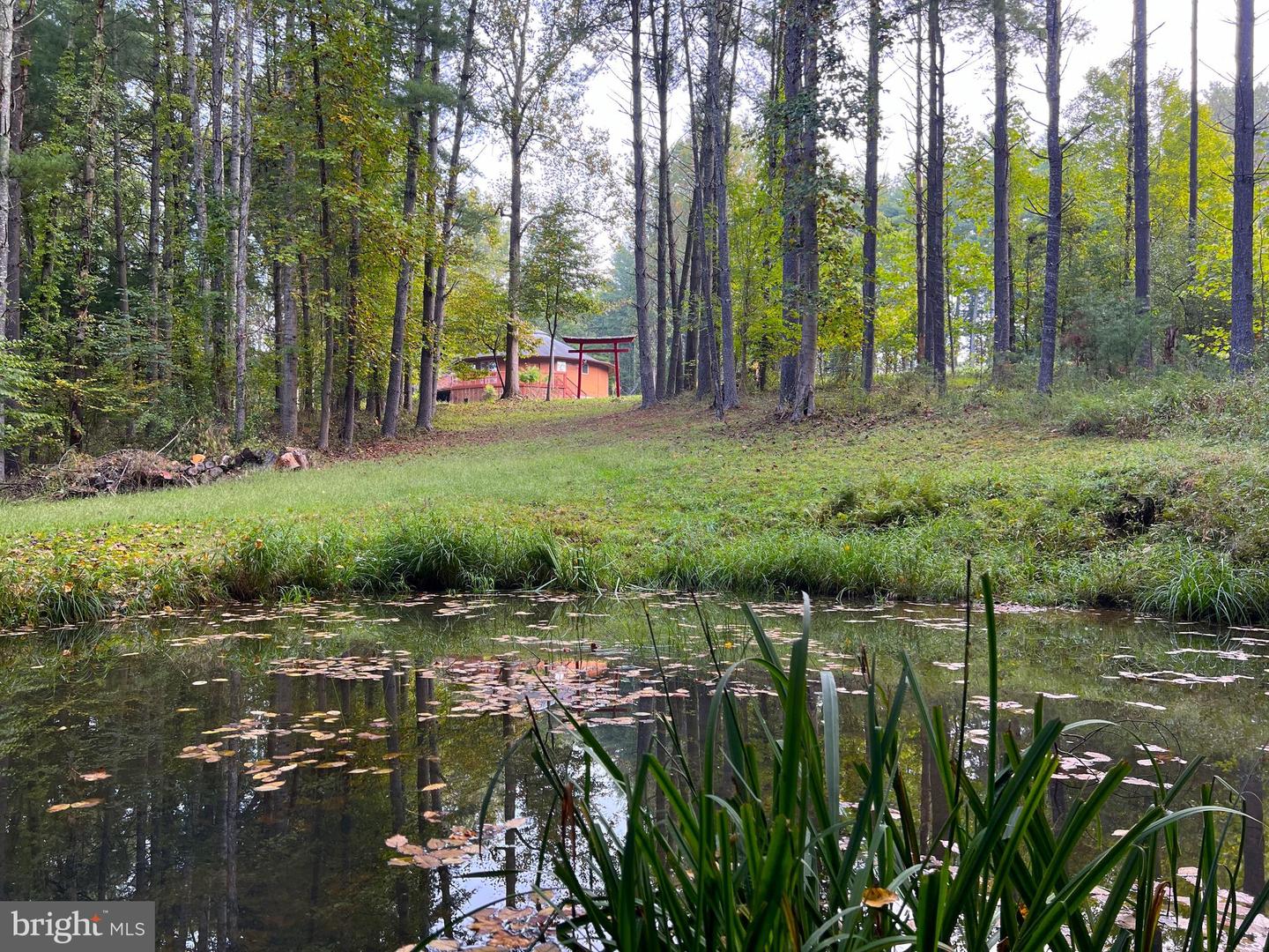 243 Aaron Mountain Road, Castleton, VA 22716 — photo 3