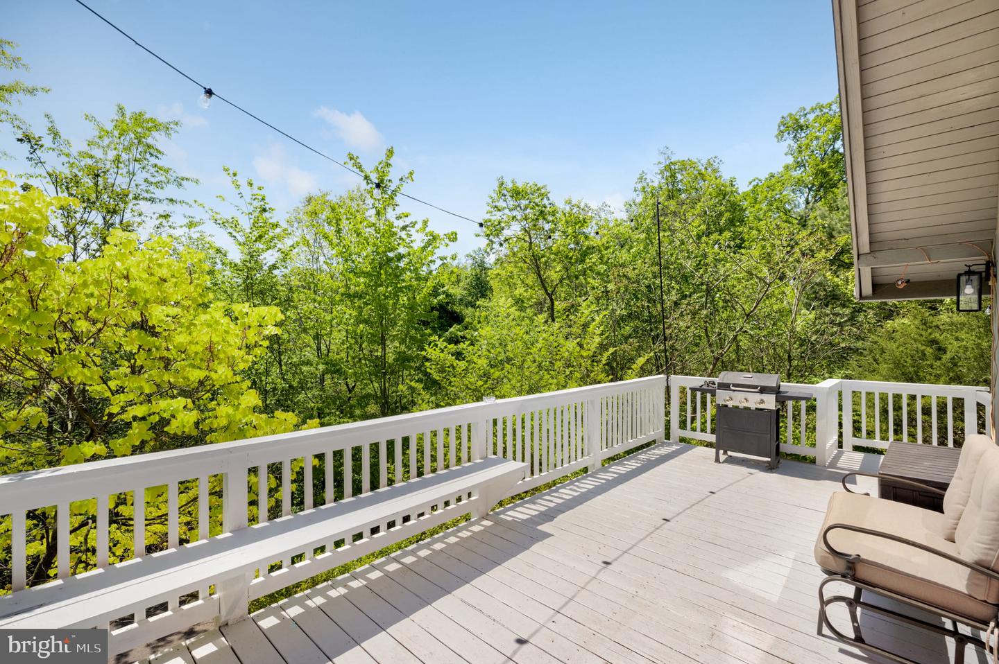 304 HOLLY RIDGE ROAD, MOUNT JACKSON VA 22842 — photo 3