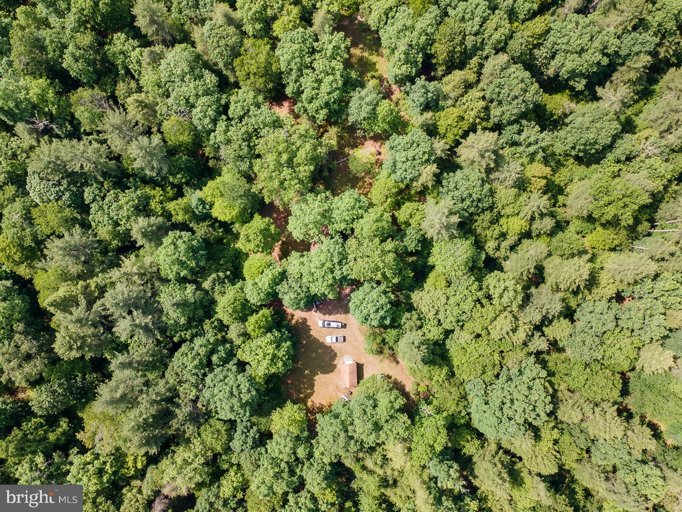 1499 Buggy Ridge Road, Mount Jackson, VA 22842 — photo 3