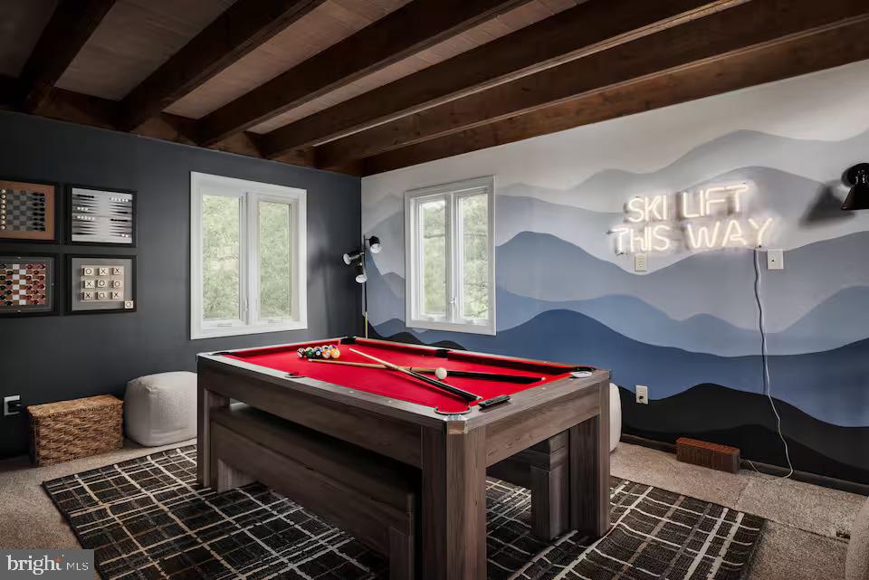 163 Raccoon Road, Basye, VA 22810 — photo 3