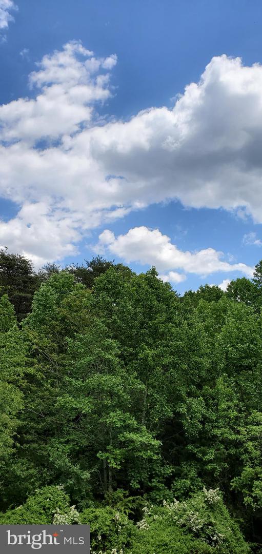 Jefferson Davis Hwy — photo