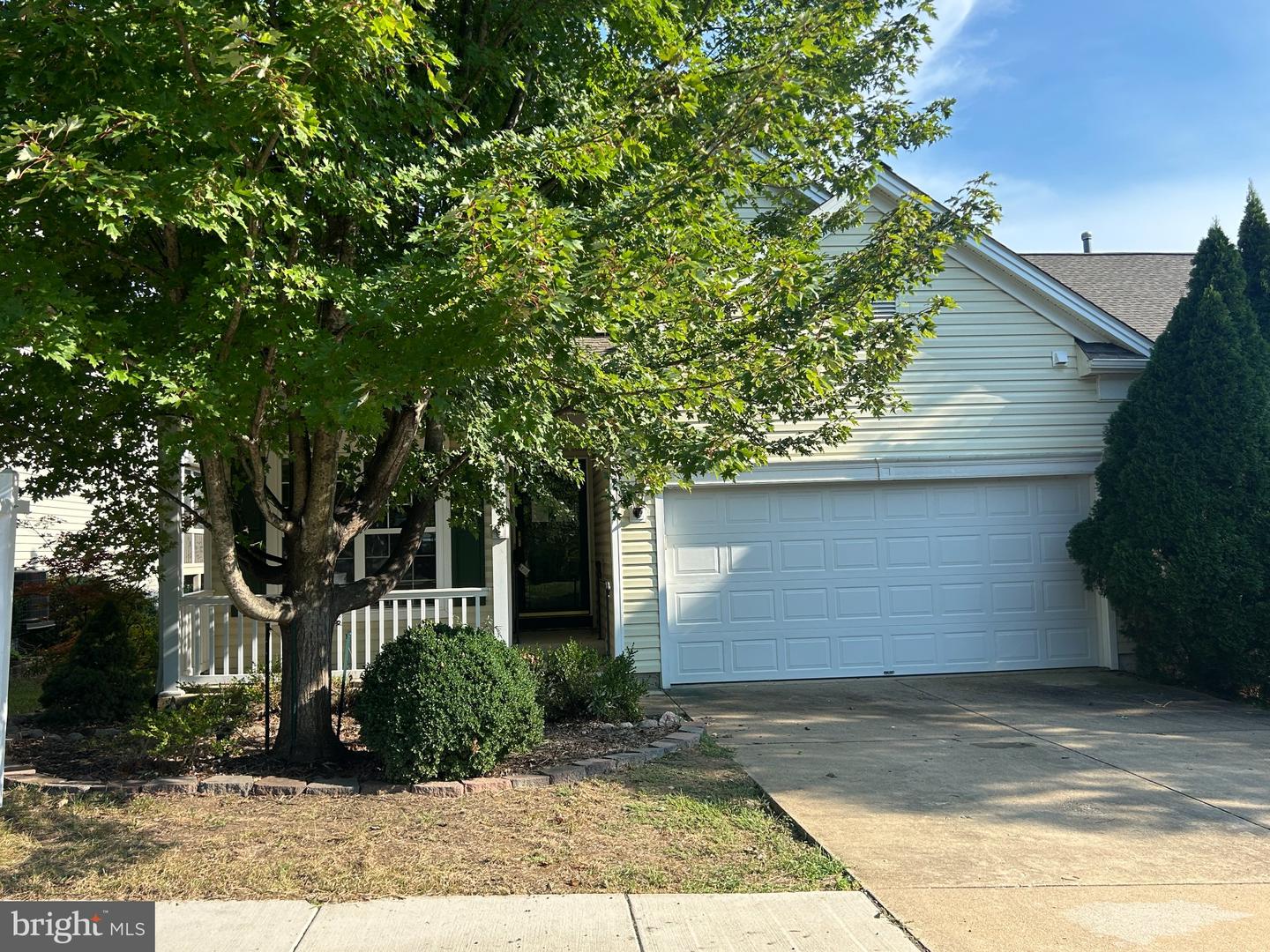 21 Buchanan Ct — photo