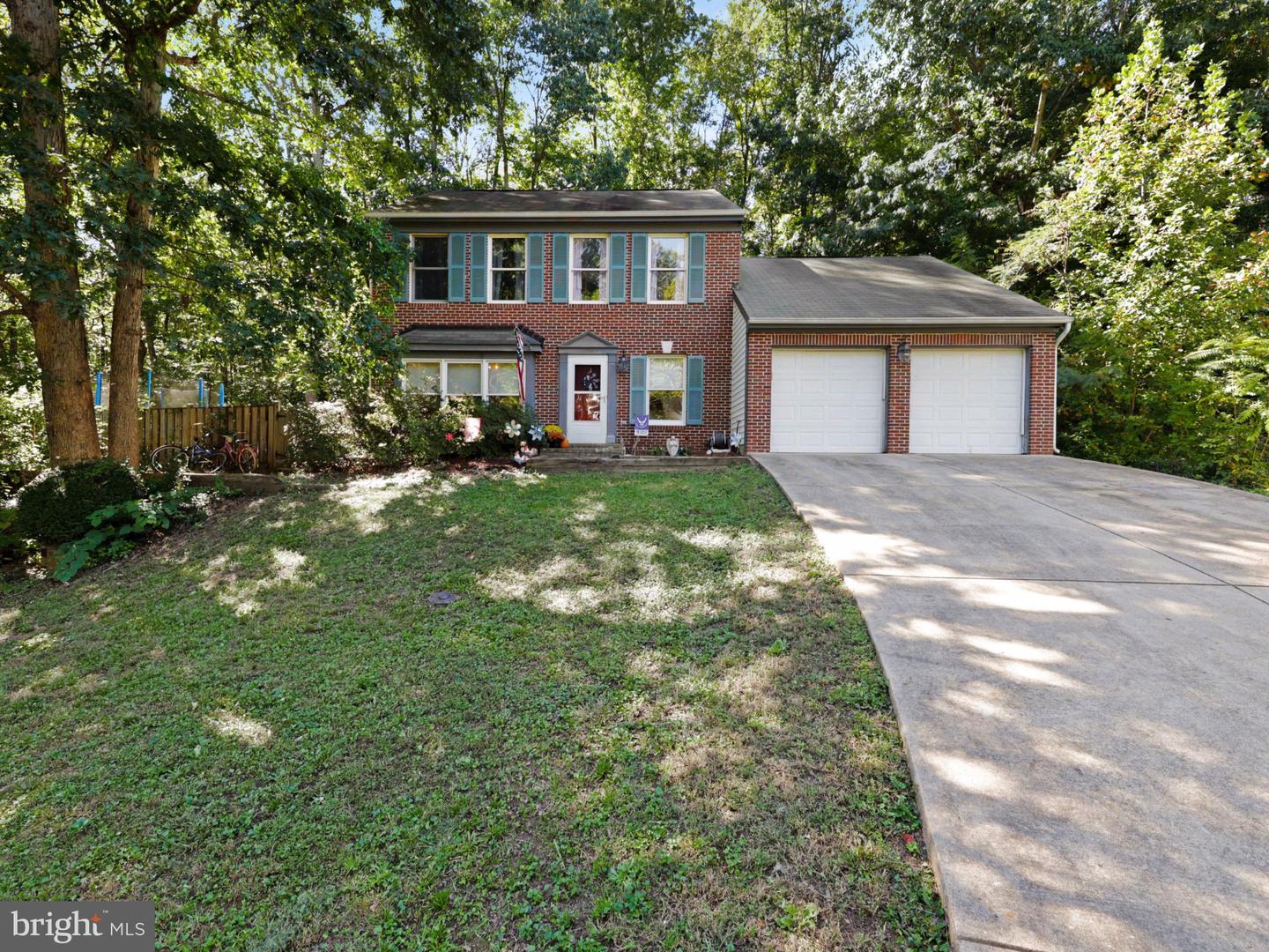113 Nina CV — photo