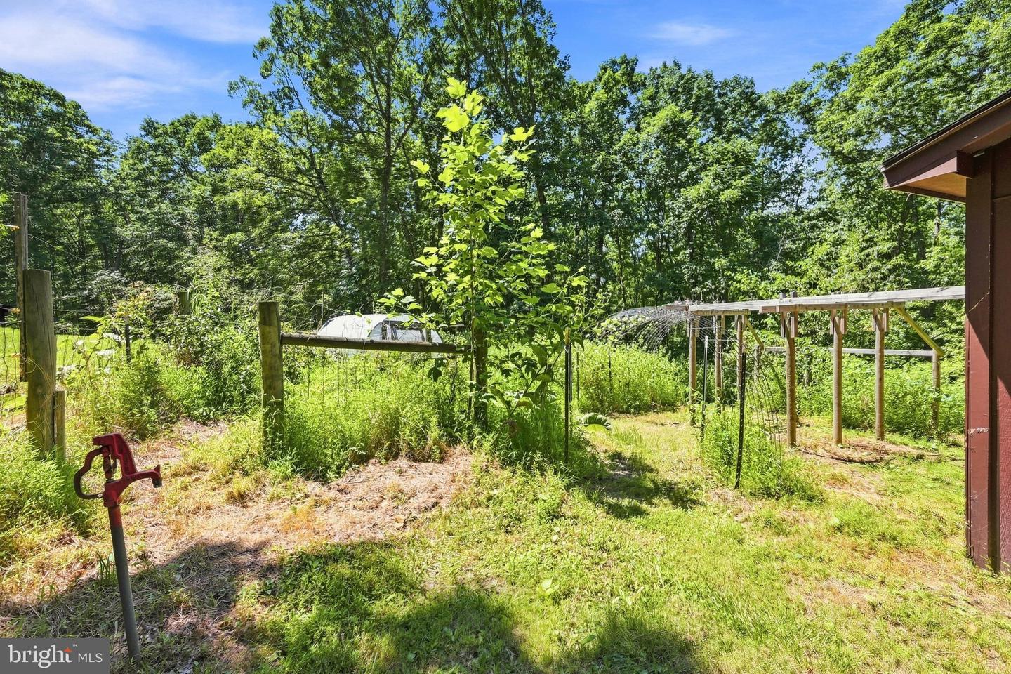 558 Catron Ridge Road, Bentonville, VA 22610 — photo 3