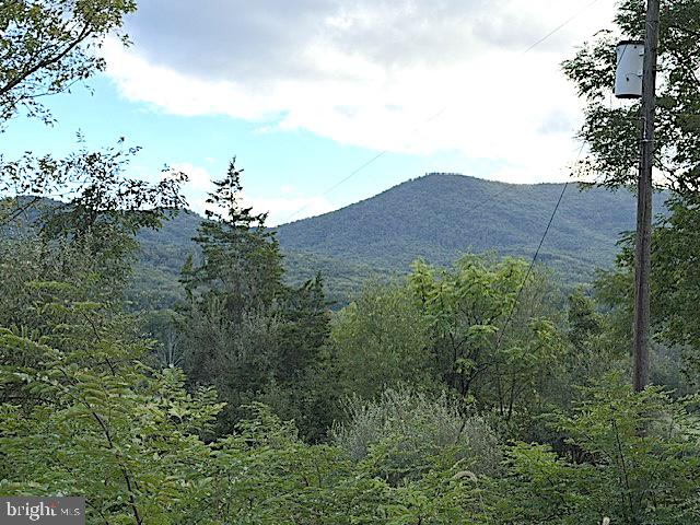 41 Edwards Road, Strasburg, VA 22657 — photo 2