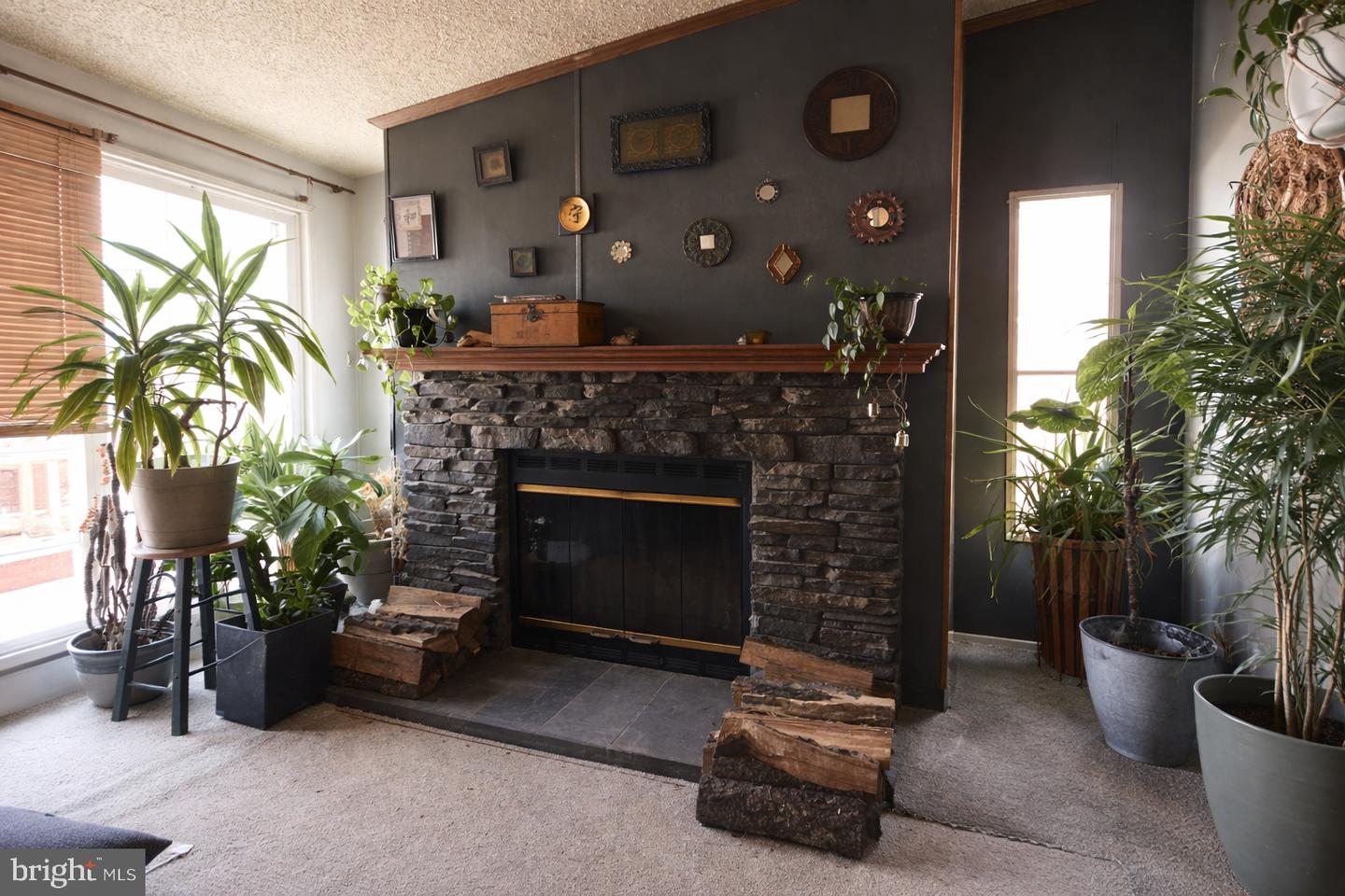 339 Valentine — photo