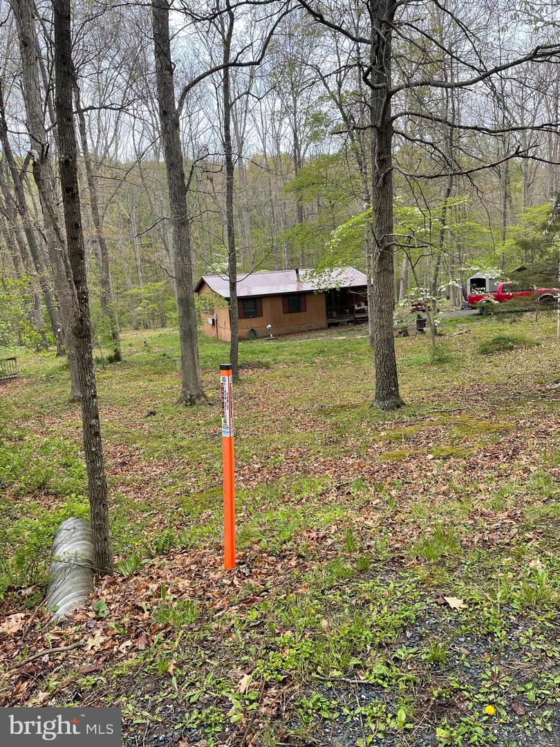 462 Trout Stream Rd — photo