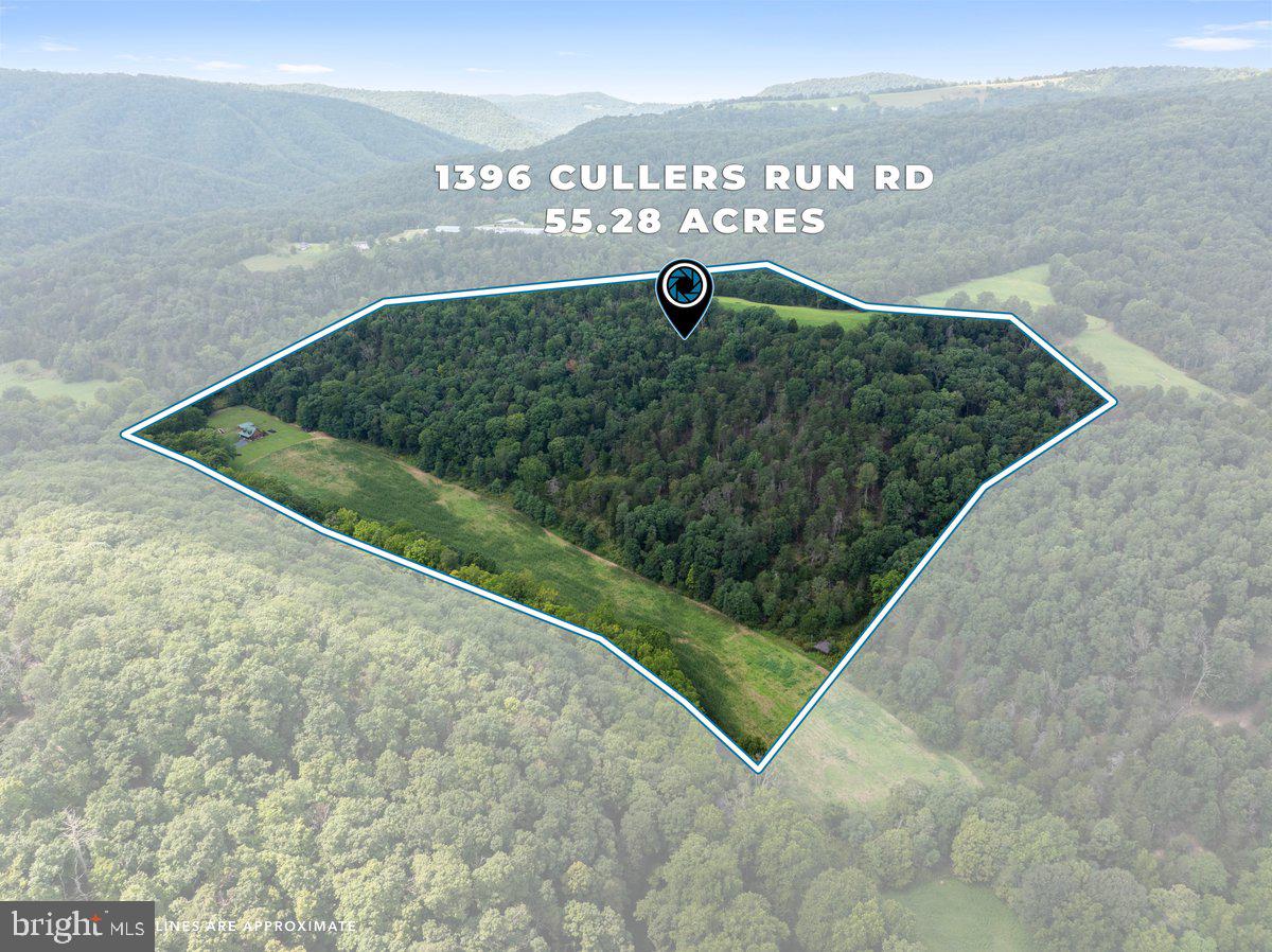 1396 CULLERS RUN ROAD, MATHIAS WV 26812 — photo 2