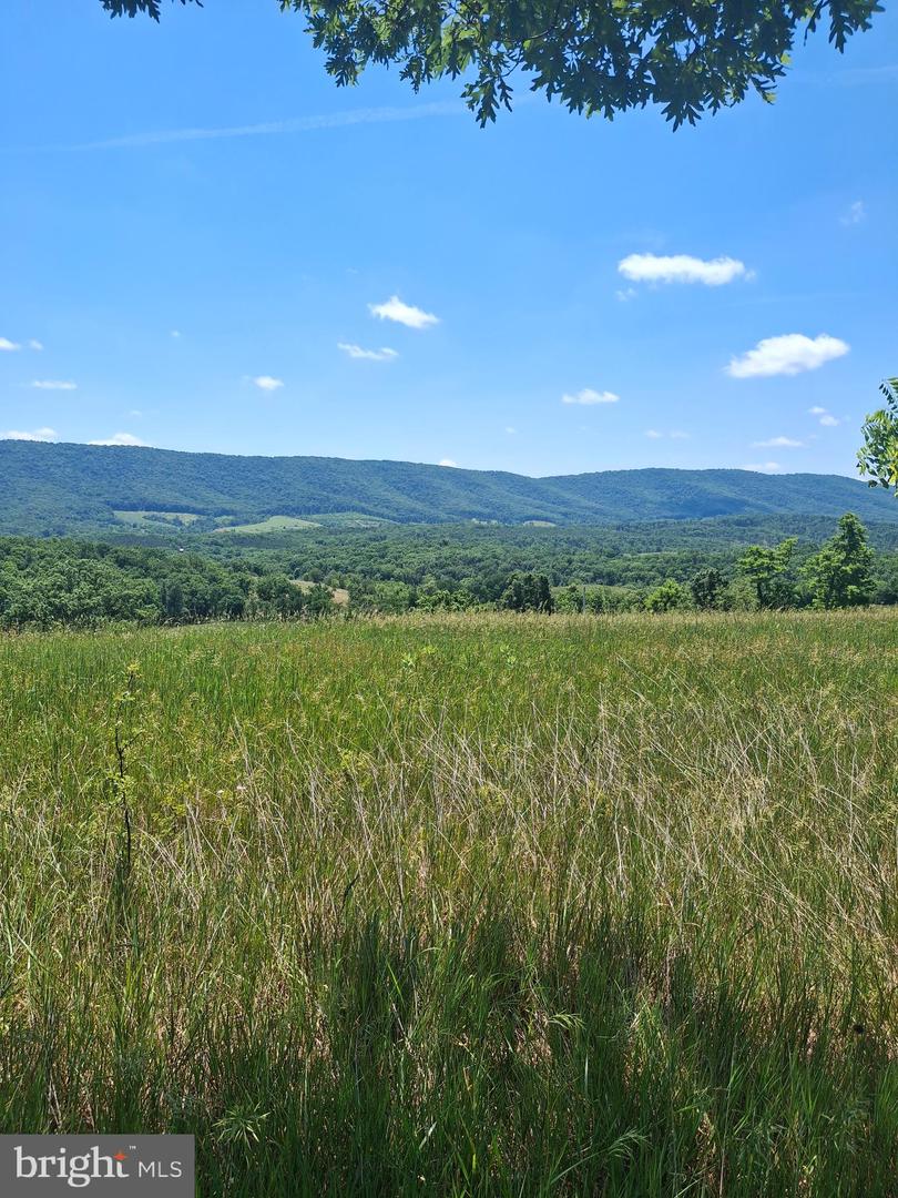 2334 ASH RUCKMAN ROAD, AUGUSTA WV 26704 — photo 2