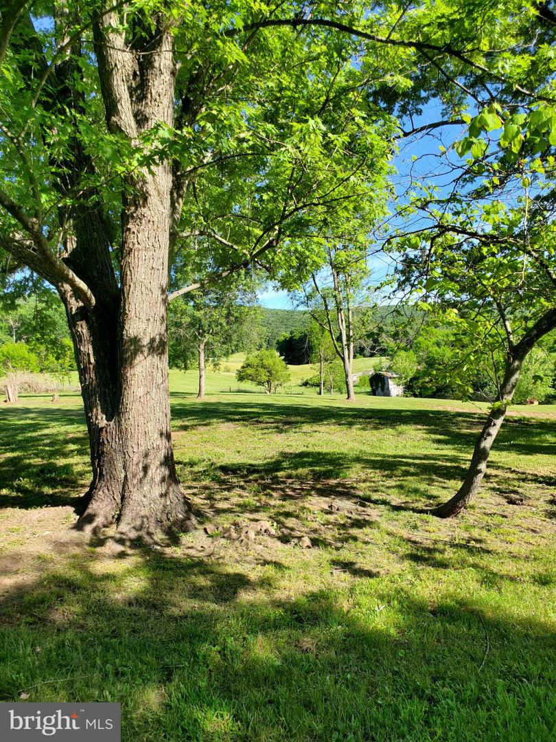 7881 Ford Hill Road, Rio, WV 26755 — photo 2