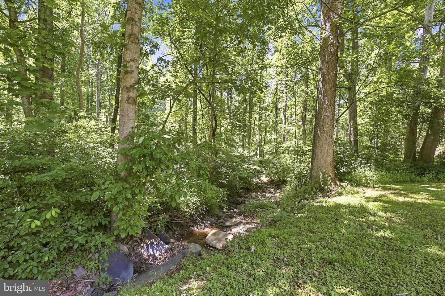 461 Normans Road, High View, WV 26808 — photo 3