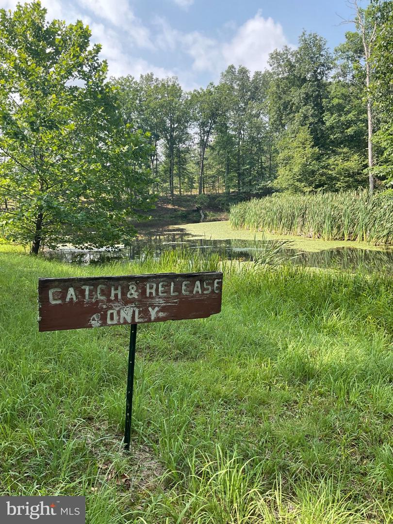 3065 Kerns School Road, Springfield, WV 26763 — photo 2
