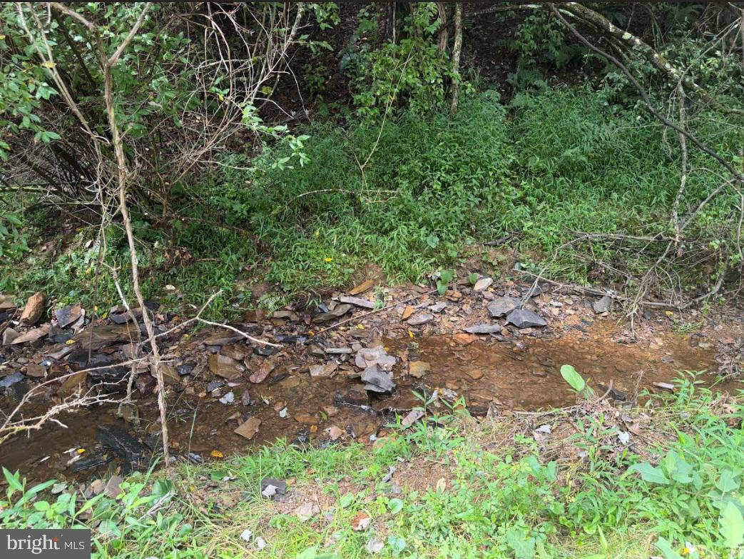 285 Clay Lick Ridge Road, Rio, WV 26755 — photo 3
