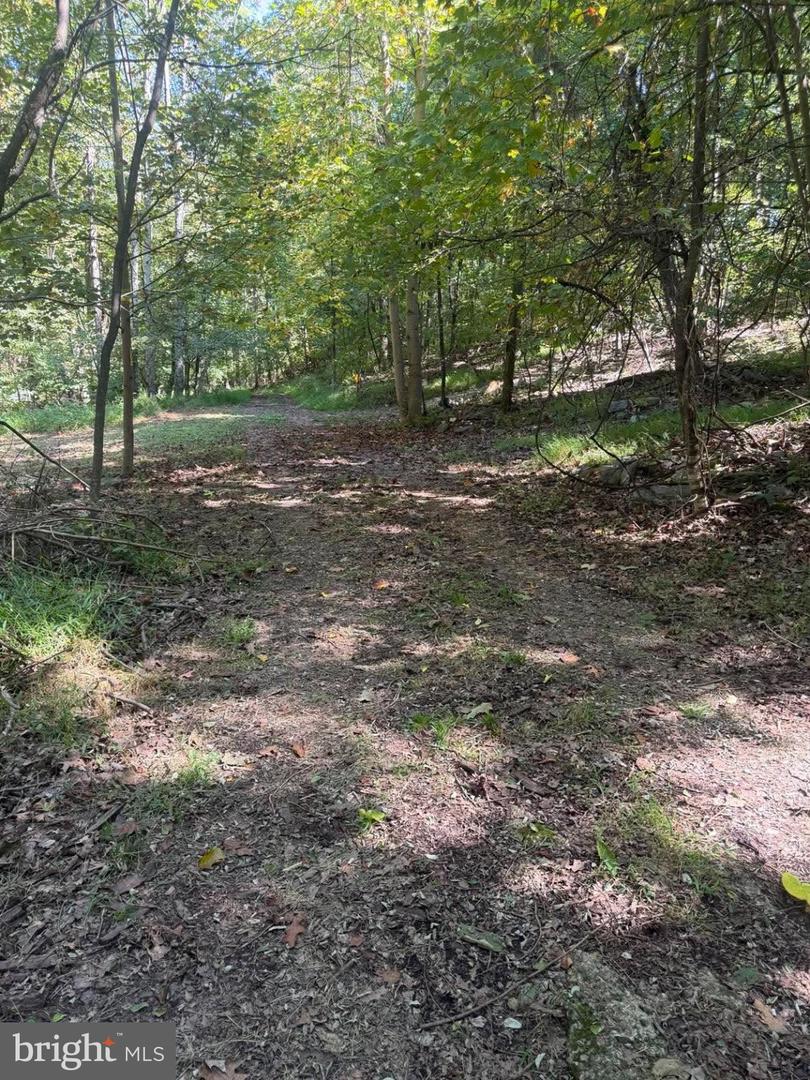 57 Ruffed Grouse Trl — photo