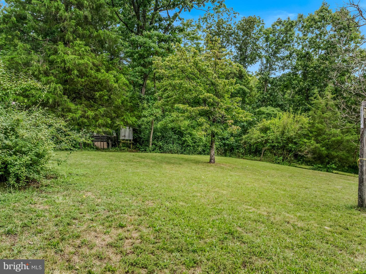 175 Pheasant Ln — photo