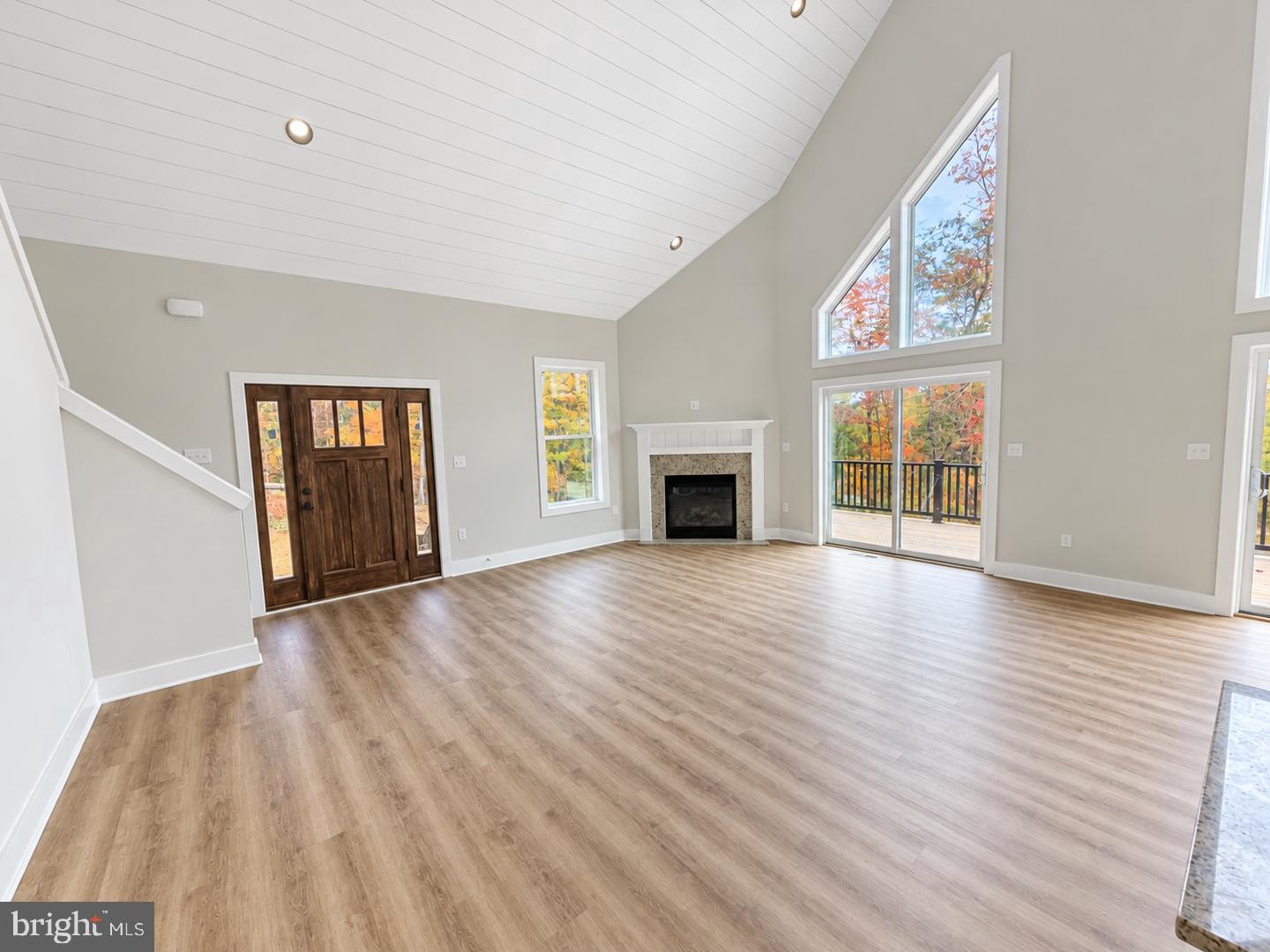 Lot 39 Spicebush — photo