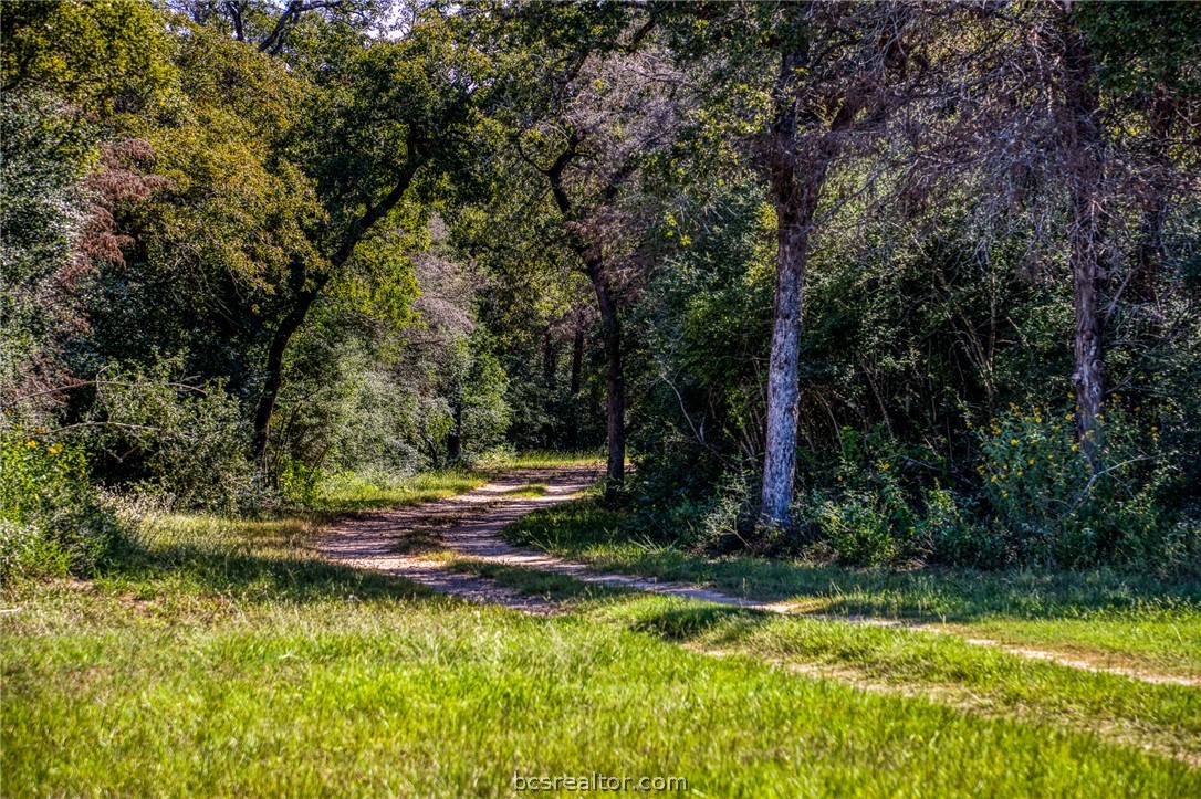 3336 County Road 326 — photo