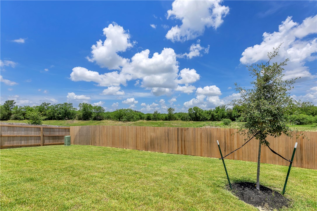 3540 Pointe du Hoc Loop, Bryan, TX 77808 — photo 2